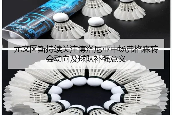 尤文图斯持续关注博洛尼亚中场弗格森转会动向及球队补强意义